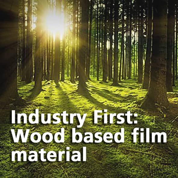 Wood based film